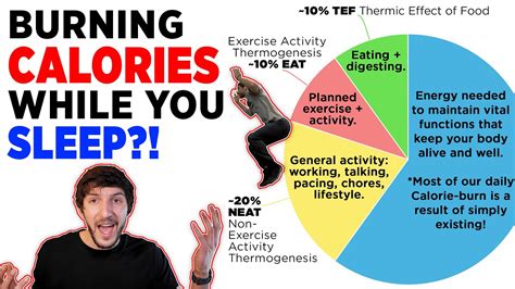 How Do You Burn Calories 🔥 Energy Explained Youtube
