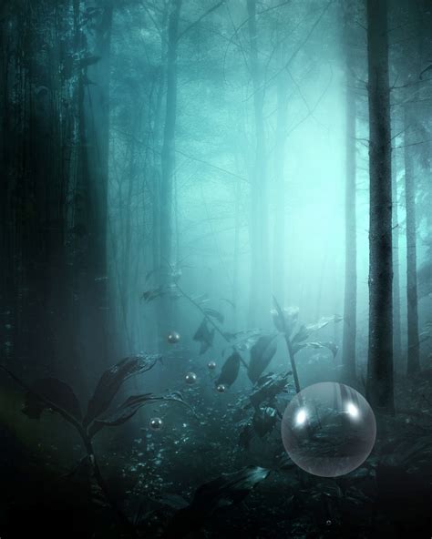 Forest Fantasy 2 Free Stock Photo Public Domain Pictures