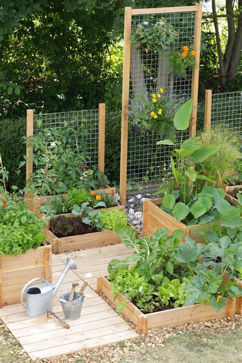 Simple Vegetable Garden Design