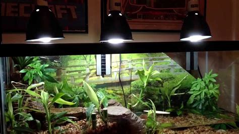 However, the keel is very prominent in musk turtle hatchlings as well as juvenile musk turtles for sale. Aqarium Vivarium w a ViQarium Waterfall, Fire Belly Toads ...