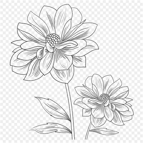 Schwarze Und Weiße Hand Gezeichnete Blumen Strichzeichnung