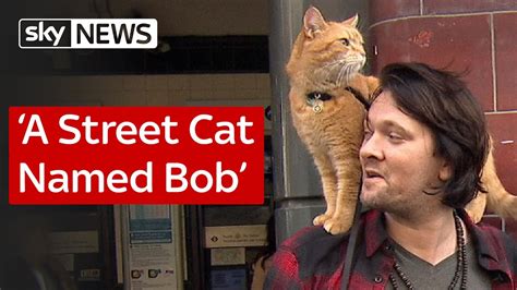 It is based on the book of same name and the world according to bob by james bowen. A Street Cat Named Bob - YouTube