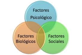 Holístico beneficios masaje holísitico activa la circulación sanguínea calma el sistema nervioso relaja la musculatura ayuda a eliminar toxinas aumenta el autoestima corrige la postura el masaje. ¿Qué es el modelo "biopsicosocial"? - Toni Martin