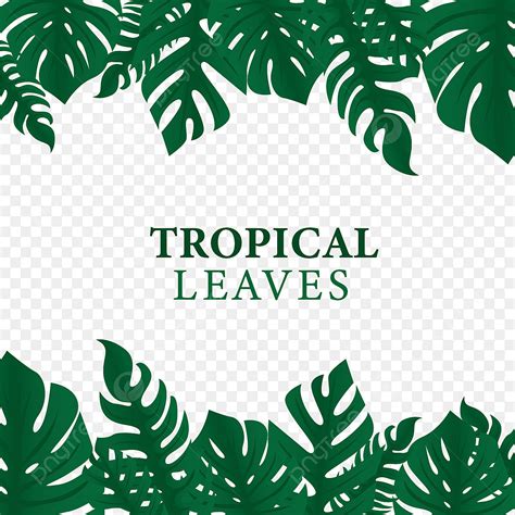 tropical green leaves vector design images tropical leaves green border frame top bottom