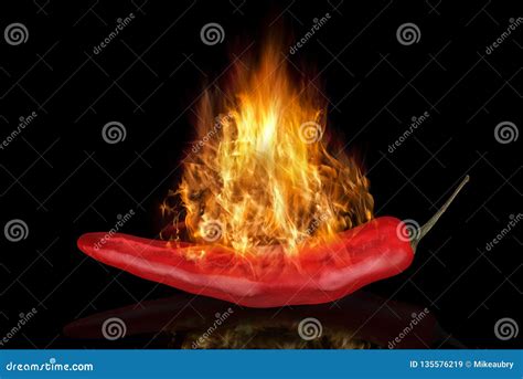 Red Hot Chili Pepper In Fire On A Black Background Stock Image Image