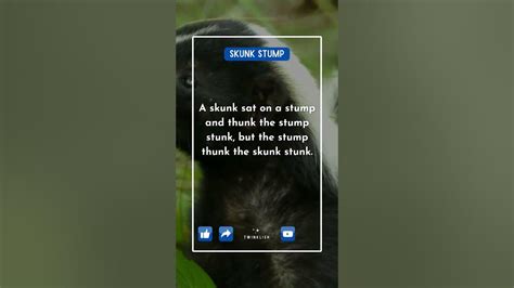 Skunk And Stump Spat 🦨 Tongue Twister Showdown Twinklish Youtube