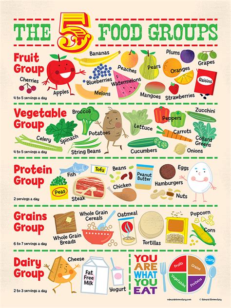 Food Groups Poster On Behance Group Meals Food Groups For Kids Food