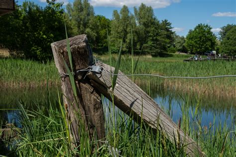 1985 wurden die gärten im rahmen der „bundesgartenschau berlin auf knapp 100 hektar angelegt. Britzer Garten, Berlin • Pentaxians