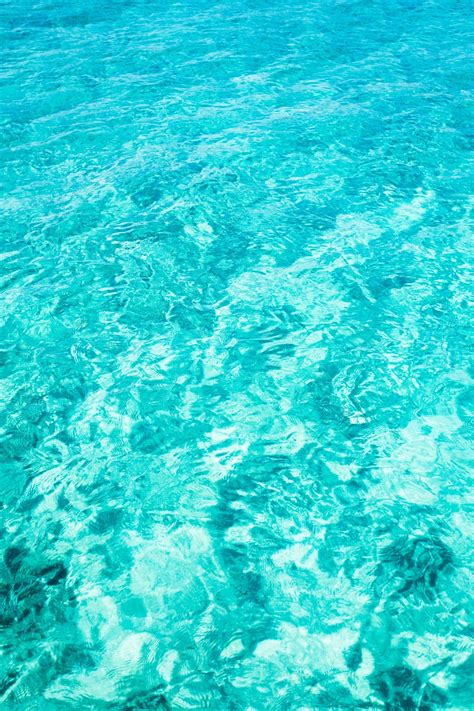 Free Images Sea Ocean Wave Underwater Swimming Pool Blue Coral
