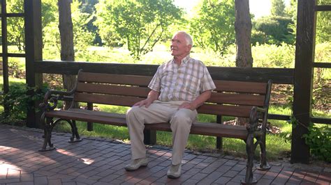 Senior Man On Park Bench Relaxed Elderly Male Spend Day In Open Air