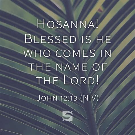John 1213 Niv They Took Palm Branches And Went Out To Meet Him