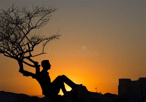116 Silhouette Man Sitting Alone Under Tree Stock Photos Free