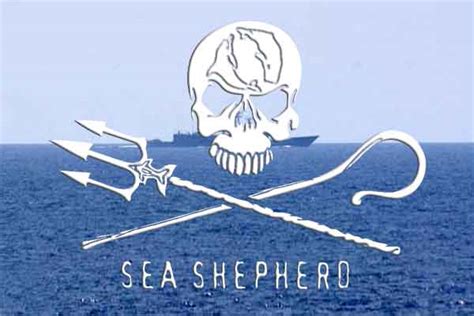 Sea Shepherd Sauvez Le Dernier Pirate Al Peal S Things