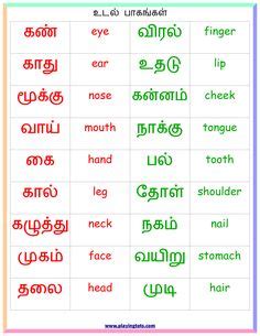 Now we move the next topic by clicking the next button. 18 exciting tamil worksheets images in 2019 | Worksheets ...