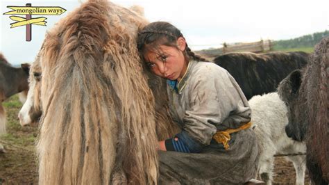 Mongolian Nomadic Lifestyle Your Questions Answered — Mongolia Tours