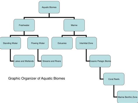 Ppt 503 Abiotic And Biotic Factors Influence The Structure And