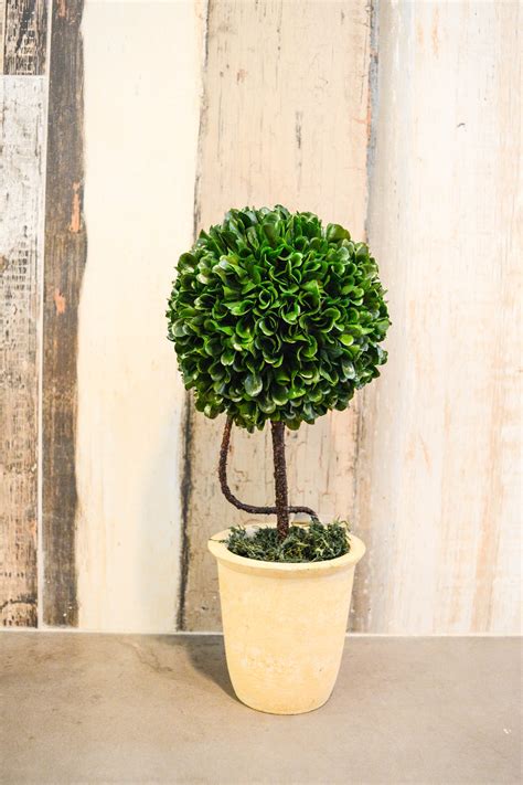 Admired By Nature Faux Preserved Artificial Boxwood Ball Topiary Plant