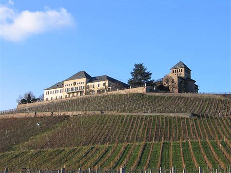 Ein kurzes portrait über die künstlerin und ihre residenz beim. Dieter's Weinempfehlungen: Einer der besten Rieslinge im ...