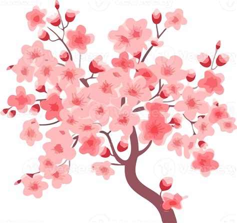 Sakura Cherry Blossom Flower Illustration 26691098 Png
