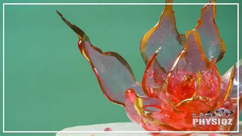 The Keto Verdict On Isomalt 5 Better Low Carb Sweetener Alternatives