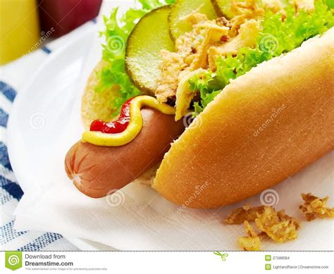 Hot Dog With Lettuce Gherkin And Fried Onions Stock Photo Image Of