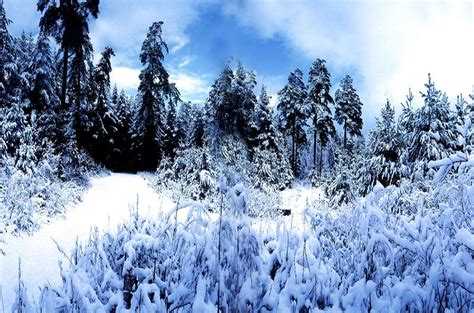 Changbai Mountain An Ideal Destination For Winter Getaway