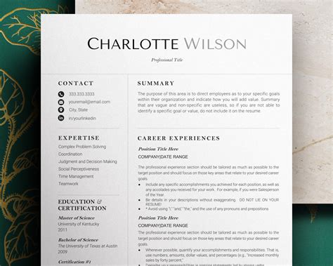 Clean Executive Resume Template 2023 Modern Ceo Resume Etsy Uk