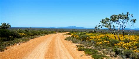 Western Australia Wildflowers Wineries And Private Gardens Of The