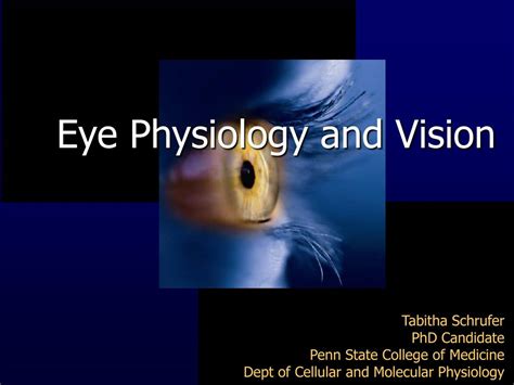 Ppt Eye Physiology And Vision Powerpoint Presentation Free Download