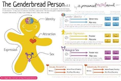 What Is The Genderbread Person And How Is It Being Used In Schools