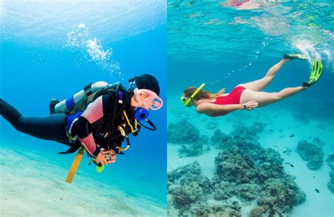 Snorkeling Vs Scuba Diving Whats The Difference Smacodive