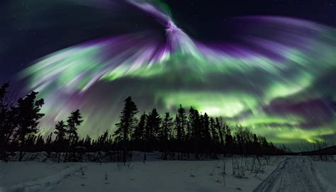 Live Northern Lights Aurora Webcam And Forecast In Fairbanks Alaska — The Aurora Chasers