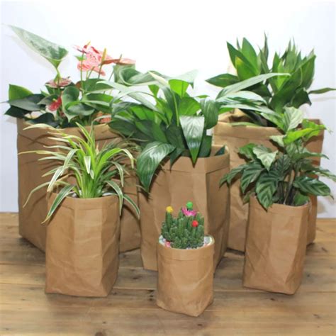 Mini Succulents Kraft Paper Flower Pot Cover Washable Storage Bags