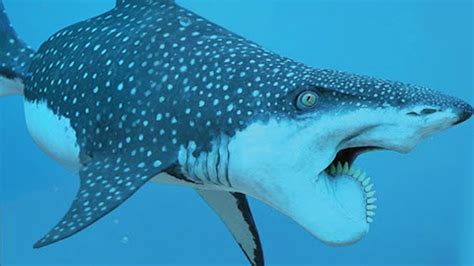 15 Most Rare Shark Species Hidden In The Ocean Youtube