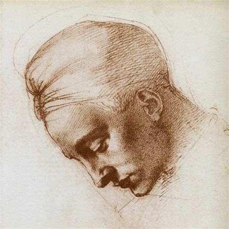 Study Of The Head Of Leda Michelangelo Michelangelo Renaissance