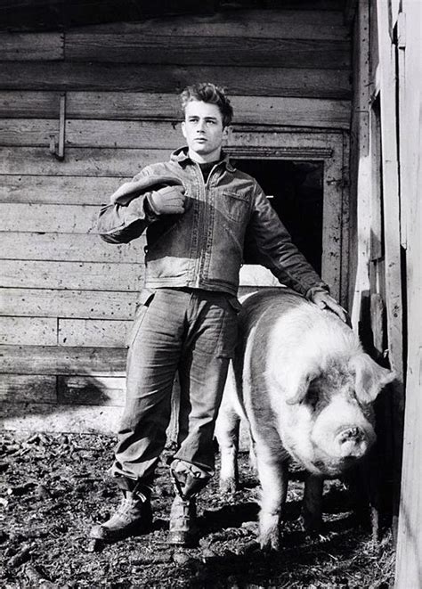 James Dean At His Uncles Farm In Fairmount Indiana 1955 James Dean