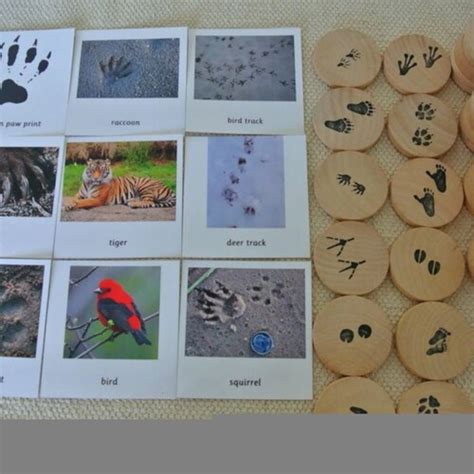 Montessori Inspired Animal Tracks Picture Cards And Memory Etsy