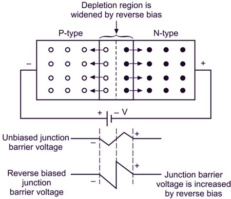 Zener Diode Reverse Bias Circuit Diagram