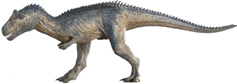 Adult Allosaurus Render By Tsilvadino On Deviantart