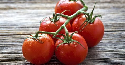 We did not find results for: 10 Tipps für den Anbau von Tomaten - Mein schöner Garten