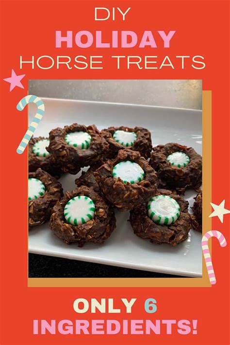 Horse Treat Recipes No Bake Dandk Organizer