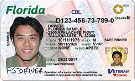 Florida Drivers License Template Free Darelonot