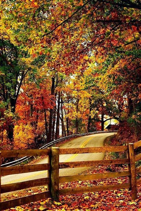 Autumn On A Country Share Moments Autumn Scenes Autumn Scenery Scenery