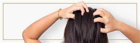 Solving Common Scalp Conditions Toppik Hair Blog