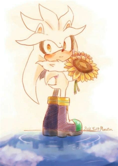 Silver The Hedgehog Sonic Fan Art Sonic Art
