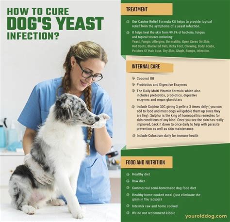 What Is A Natural Remedy For Yeast Infection In Dogs