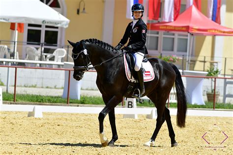 From wikipedia, the free encyclopedia. Internationale 3-Sterne-Para-Dressur in Stadl Paura ...