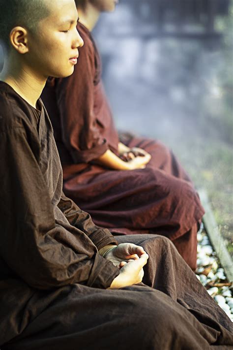 Download Gratuito Meditação Sayalay Freira Theravada Budismo