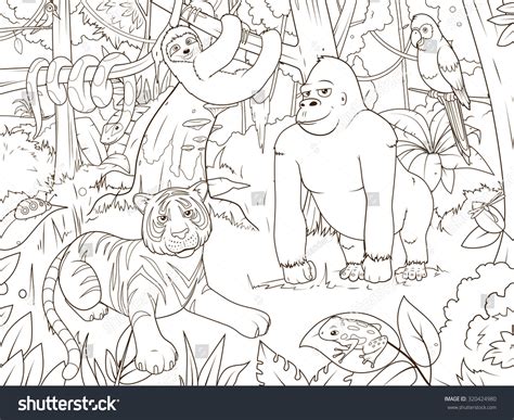 Jungle Animals Cartoon Coloring Book Vector Stock Vector