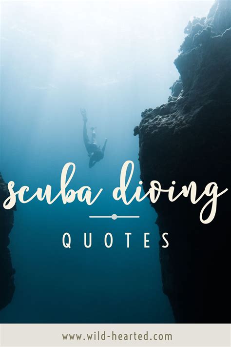 Maybe you would like to learn more about one of these? 90+ Scuba Diving Quotes That Put Your Love of the Ocean ...